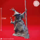 Barovian Witch - Tabletop Miniature (Pre-Supported)