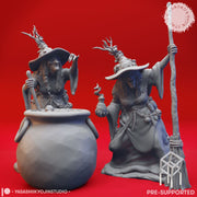 Barovian Witches - Tabletop Miniatures (Pre-Supported) - Only-Games