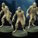 Barrow Vampires