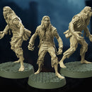 Barrow Vampires