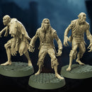 Barrow Vampires