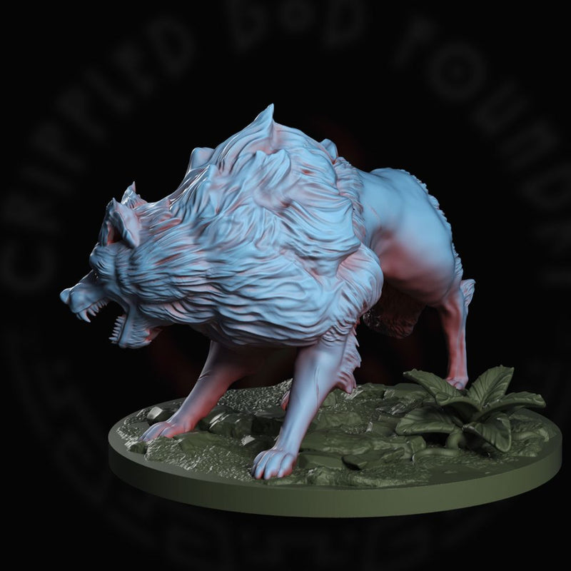 Beathan the Dire Wolf