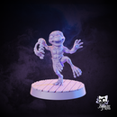 Blub'za A (Grung) - Only-Games