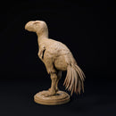 Brontornis 32mm scale terror bird companion - Only-Games