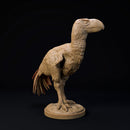 Brontornis 32mm scale terror bird companion - Only-Games