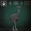 Cauthooj - Only-Games