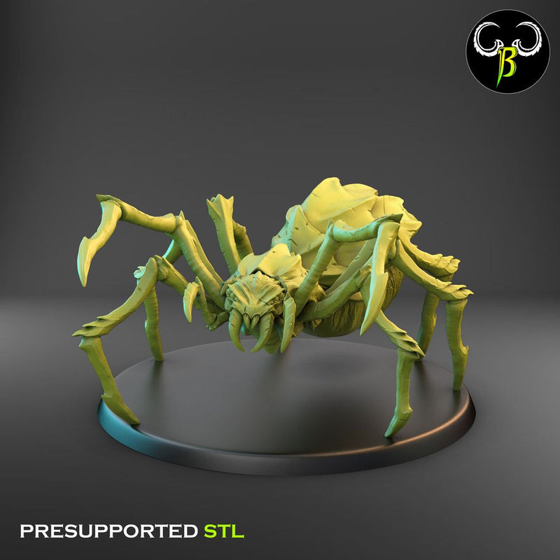 Cave Spider Squad