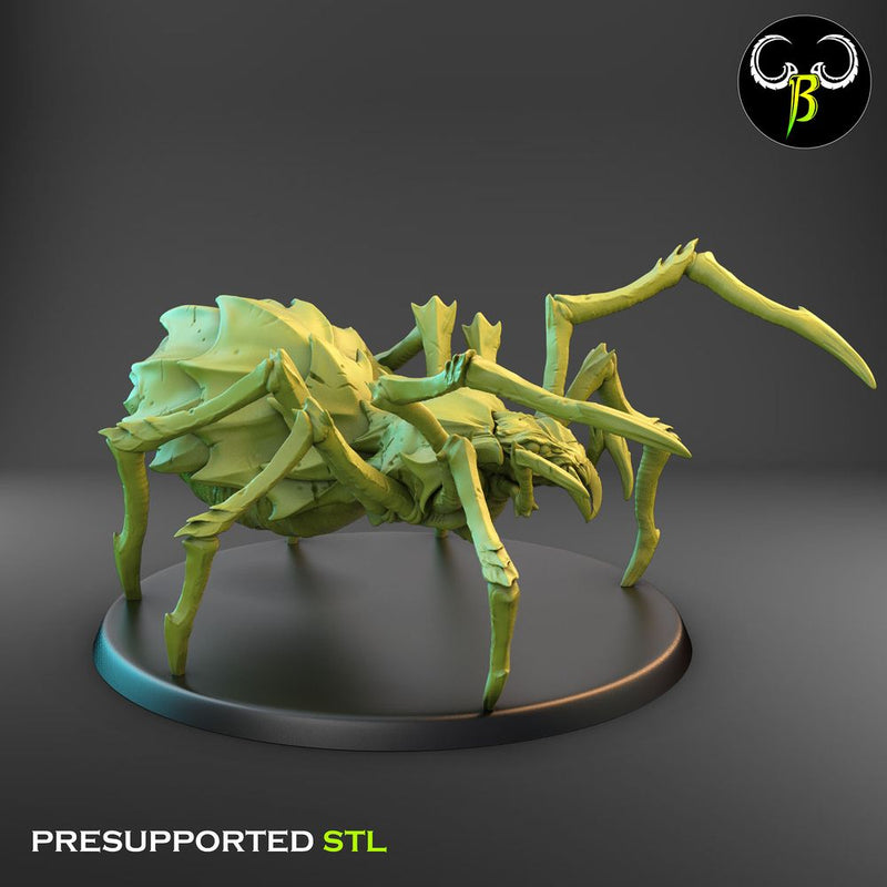 Cave Spider Squad