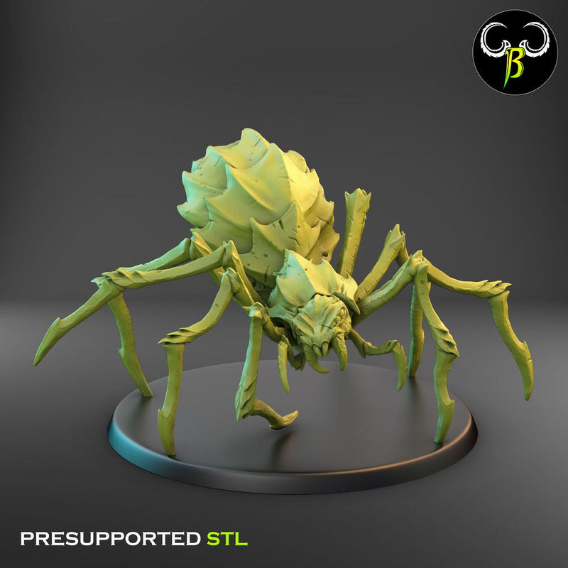 Cave Spider Squad