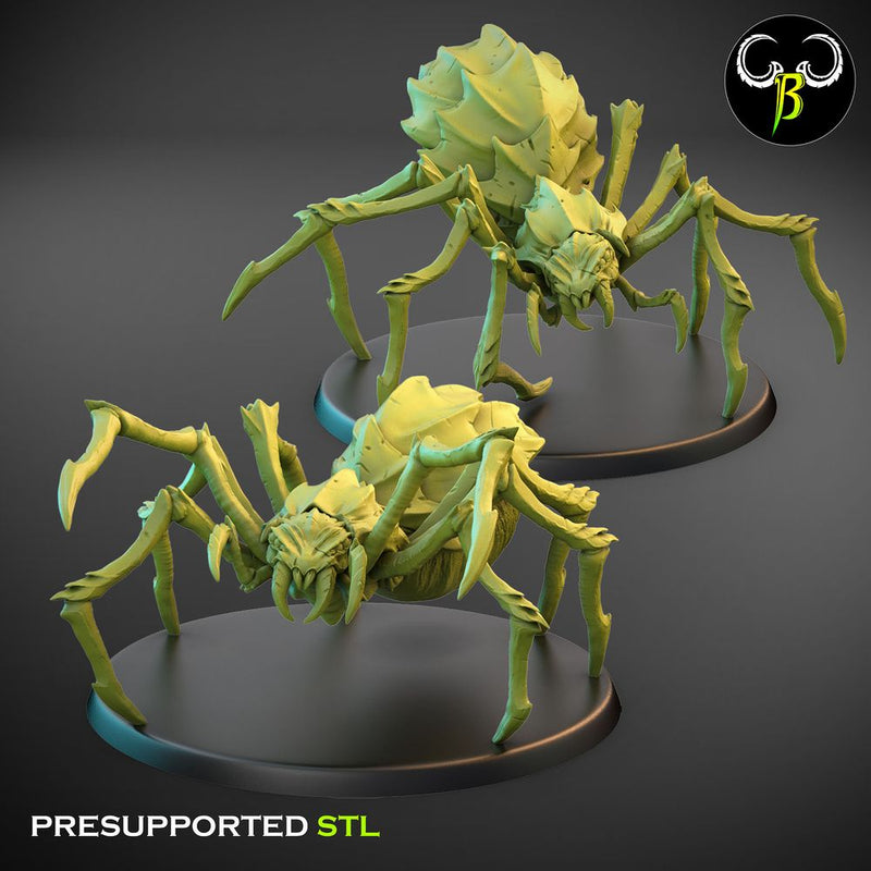 Cave Spider Squad