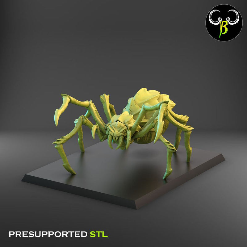 Cave Spider Squad