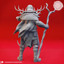 Druid - Human Male - Lvl 10 - Tabletop Miniatures (Pre-Supported)
