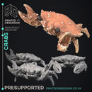 Crab Folk - 15 Models -  PRESUPPORTED - Illustrated and Stats - 32mm scale