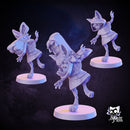 Selvaris, the Flame Pathfinder - Only-Games