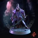 Dark Elf Hunters