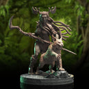 Darieth, Wood Elf Beastmaster