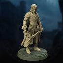 Dark Elf Sorcerer