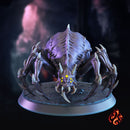Dark Giant Spiders