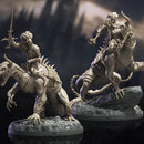 Death Drake Riders