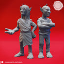 Deep Gnome Twins - Topsy and Turvy - Tabletop Miniatures (Pre-Supported)