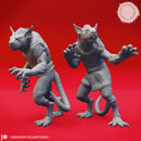Deep Gnome Twins - Topsy and Turvy - Tabletop Miniatures (Pre-Supported)
