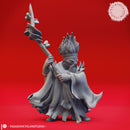 Derro - Savant  - Tabletop Miniature (Pre-Supported)