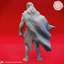 Drow Ranger  - Tabletop Miniature (Pre-Supported)