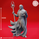 Drow Mage  - Tabletop Miniature (Pre-Supported)