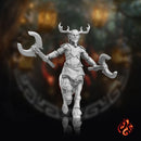Elf Centaurs
