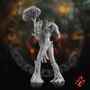 Ent