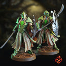 Elf Warriors