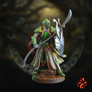 Elf Warriors