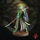 Elf Warriors