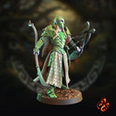 Elf Warriors
