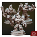 Granite Warden - Only-Games