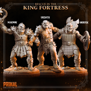 5 miniatures - 32mm - Classic Orcs Bundle - RESCUE IN THE KING FORTRESS  - MASTERS OF DUNGEONS QUEST - Only-Games