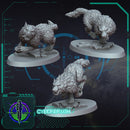 Skjoldfang Wolves - Only-Games