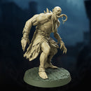 Feral Ghoul