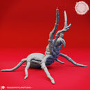 Giant Spider - Rearing - Tabletop Miniature (Pre-Supported)