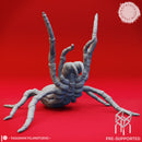 Giant Spider - Rearing - Tabletop Miniature (Pre-Supported)