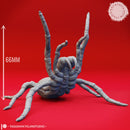 Giant Spider - Rearing - Tabletop Miniature (Pre-Supported)