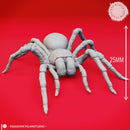 Giant Spider - Tabletop Miniature (Pre-Supported)