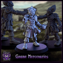 Gnome Mercenaries - Only-Games