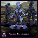 Gnome Mercenaries - Only-Games