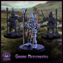 Gnome Mercenaries - Only-Games