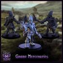 Gnome Mercenaries - Only-Games
