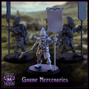 Gnome Mercenaries - Only-Games