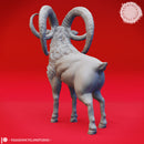Giant Goat - Tabletop Miniature (Pre-Supported)
