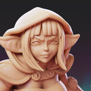 Goblin Adventurer - Style A - Pose 1 - Only-Games