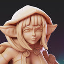 Goblin Adventurer - Style B - Pose 1 - Only-Games